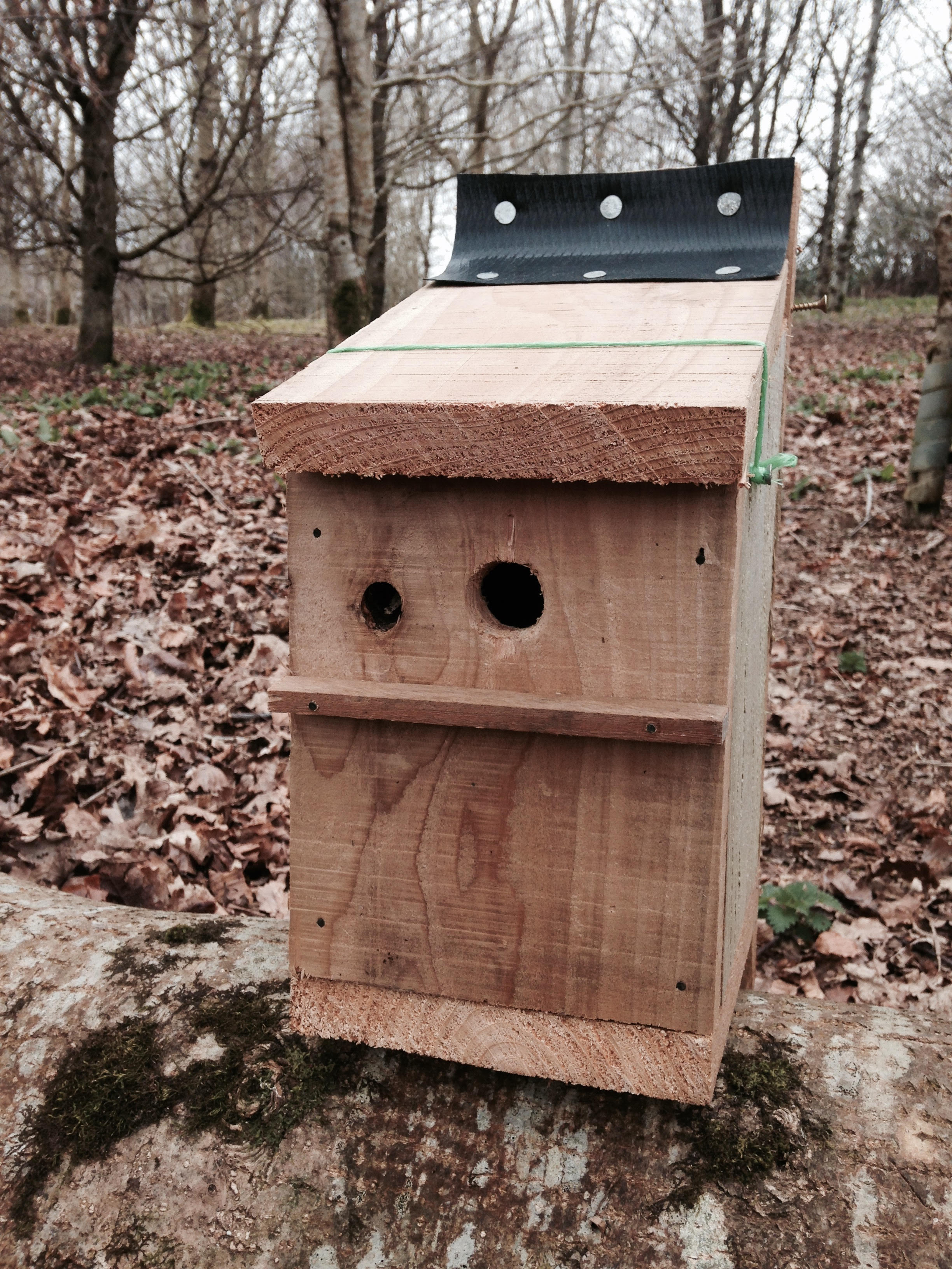 Bird box finished