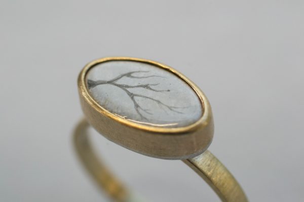 Close up of the branches ring on grey